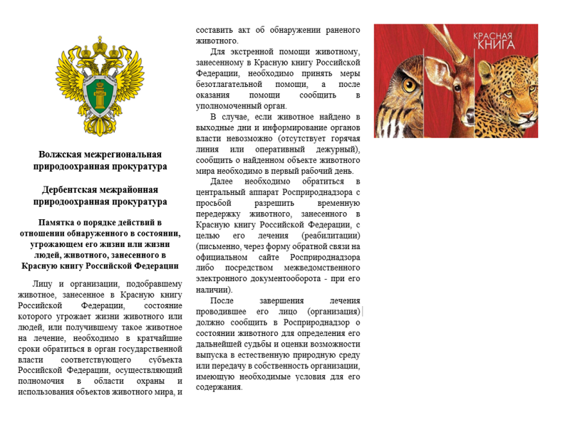 ПАМЯТКА ДЛЯ ОЗНАКОМЛЕНИЯ.